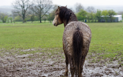 Mud Management Methods